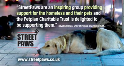 Street Paws awarded PetPlan Charitable Trust funding